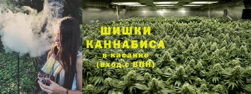 Бошки Шишки LSD WEED  цена наркотик  Кириллов 